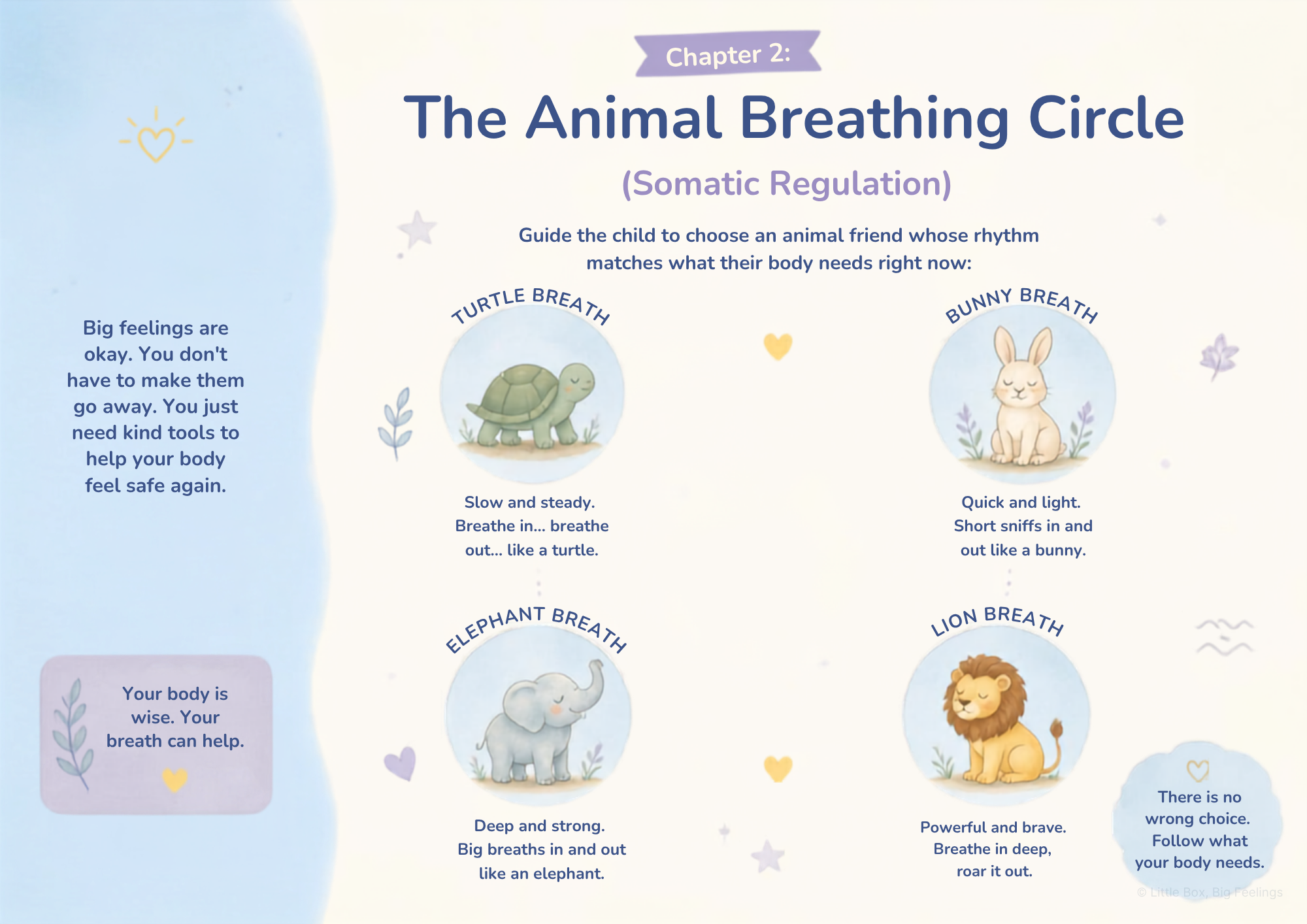 Chapter 2: The Animal Breathing Circle